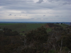 The view back to Melbourne and the Dandenong Ranges
